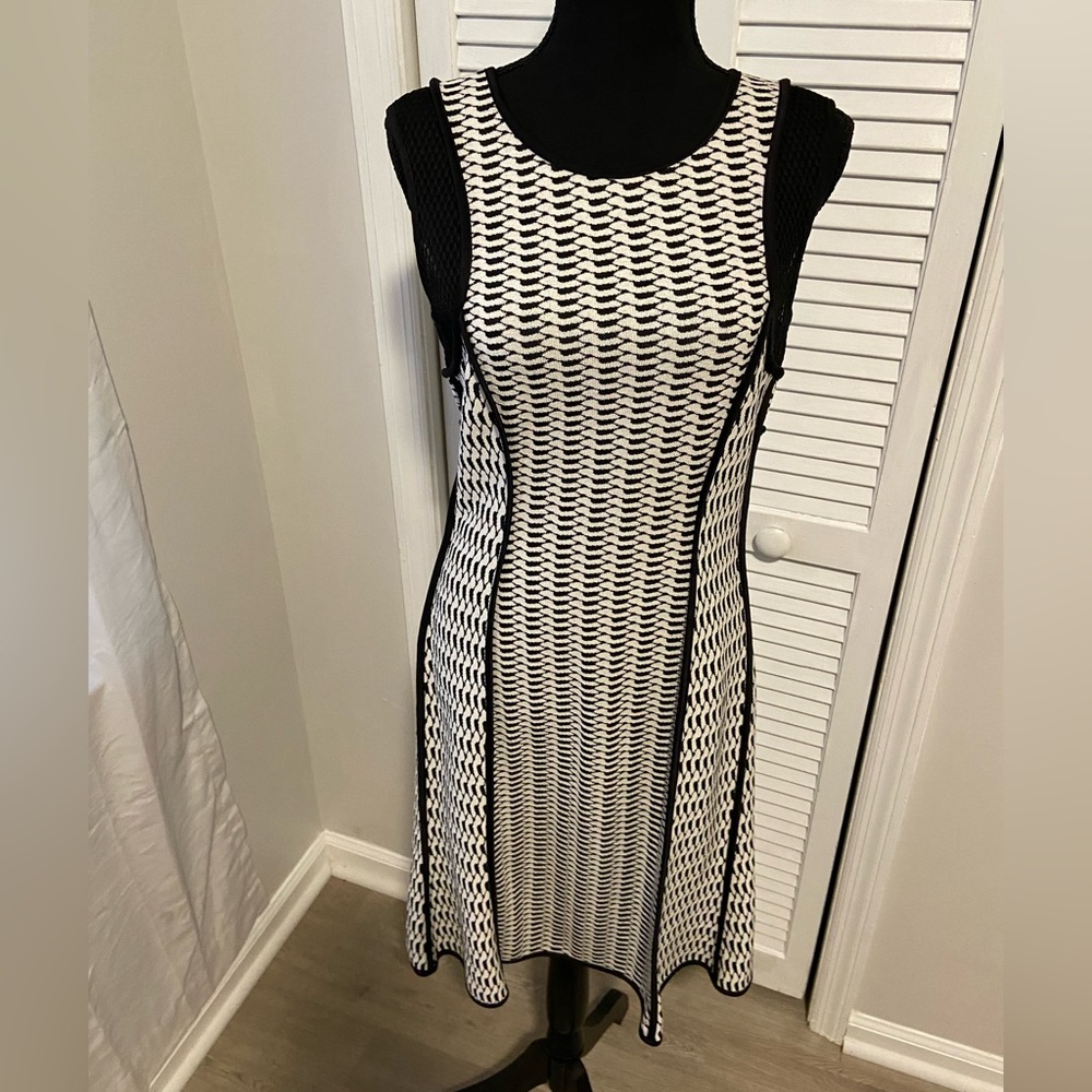 Yoana Baraschi dress